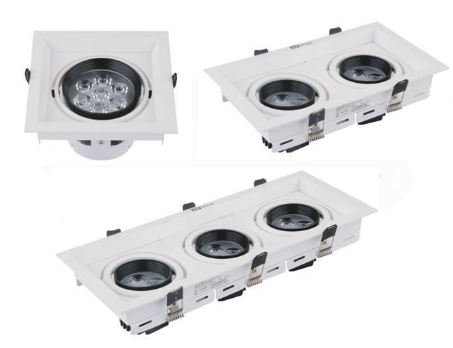 LED DownLighters