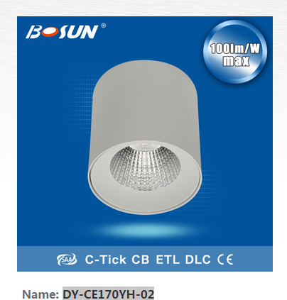 LED DownLighters