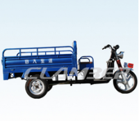 Tricycles--DS250-1