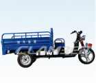 Tricycles--DS250-1