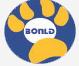 Shenzhen Bonld Electronics Co., Ltd.