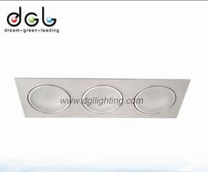 LED DownLighters