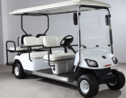 Golf Carts--AX-B4+2