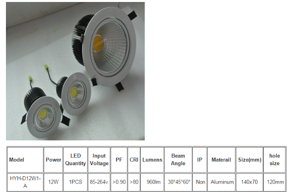 LED DownLighters