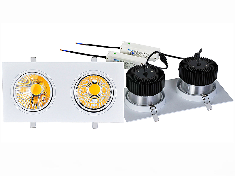 LED DownLighters