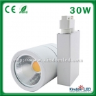 30W Tracking Light