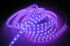 LED Strip Lights