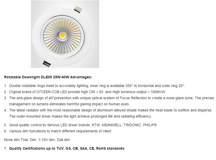 LED DownLighters