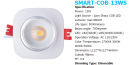 LED DownLighters