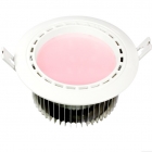 LED DownLighters