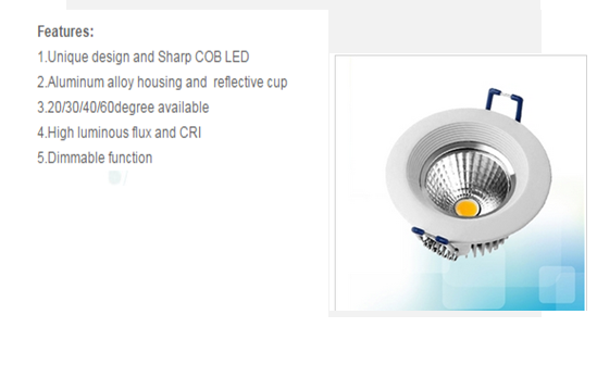 LED DownLighters