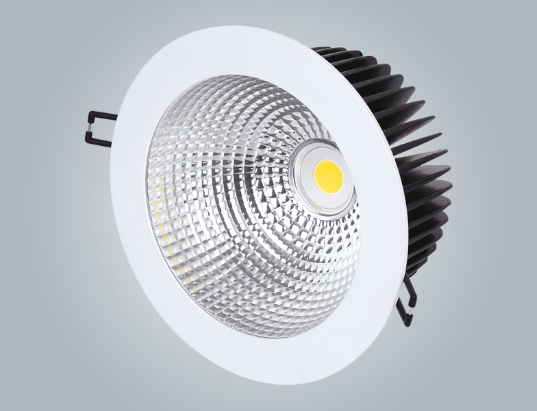 LED DownLighters