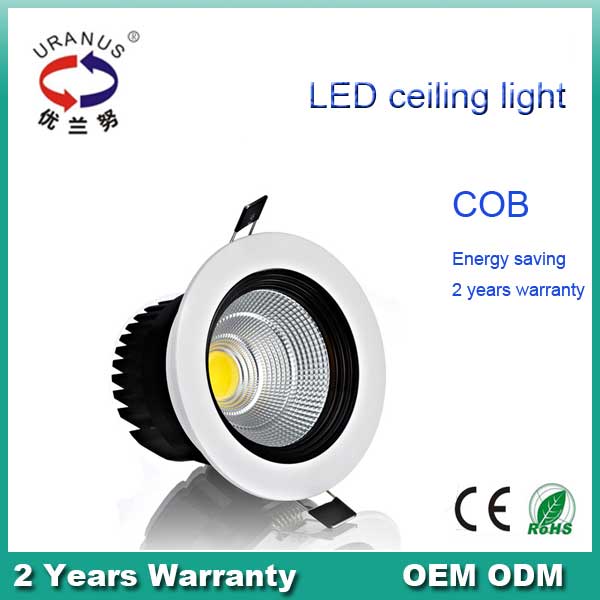LED Ceiling Lamps