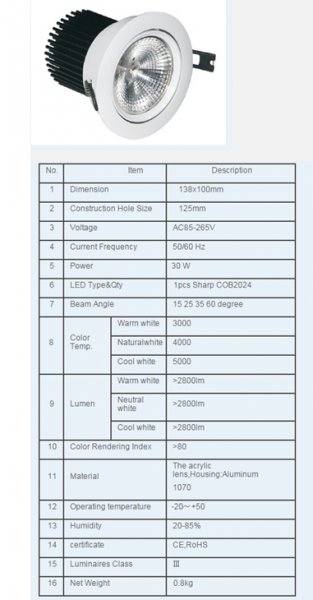 COB LED DownLighters