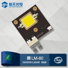 Flip Chip LED Module