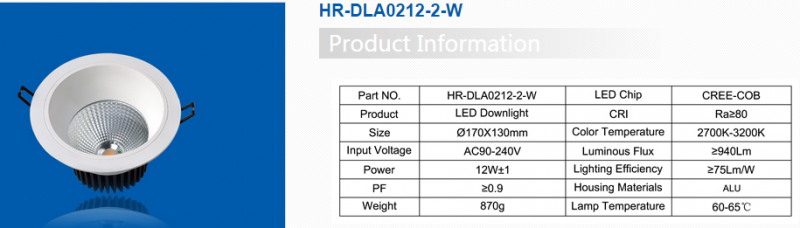 LED DownLighters