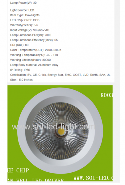 LED DownLighters