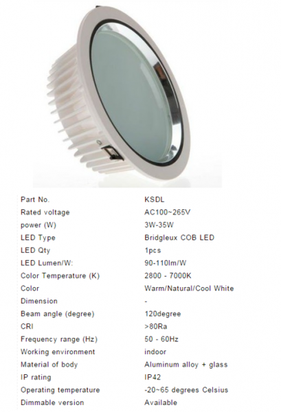 LED DownLighters