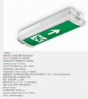 Emergency Exit light