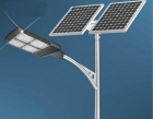 Solar Garden Light