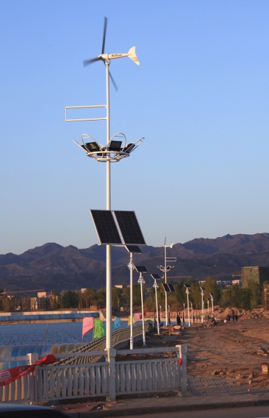 Solar Street Light