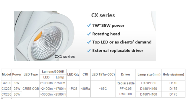 LED DownLighters