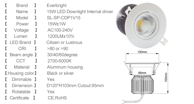 LED DownLighters