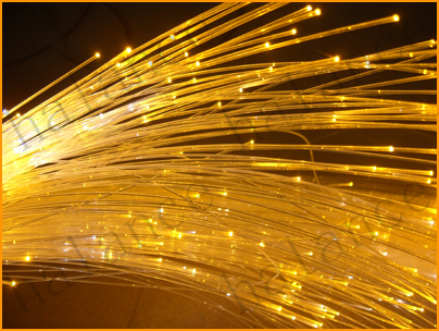 Fiber Optic Lights