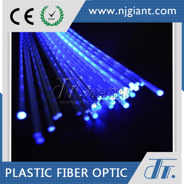 Fiber Optic Lights