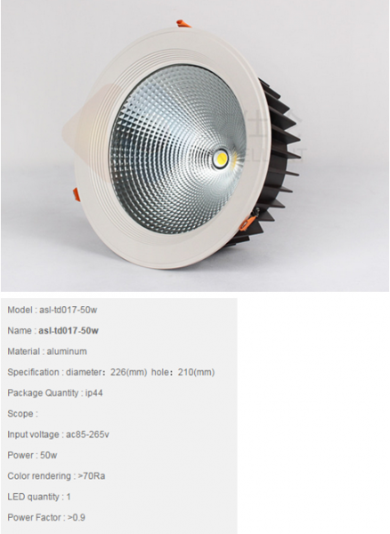 LED DownLighters