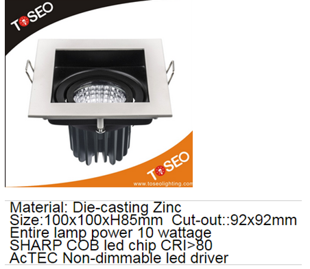 LED DownLighters