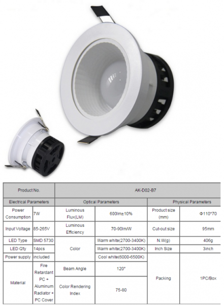 LED DownLighters