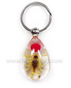 Insect Key Chains--SK0892