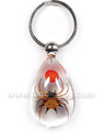 Insect Key Chains--SK0893