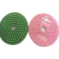 Polishing Pad