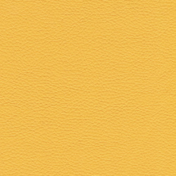 Synthetic Leather
