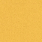 Synthetic Leather