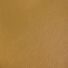 Synthetic Leather