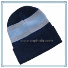 Winter Cap