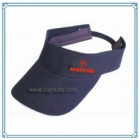 Sun Visor