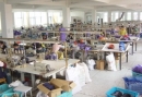 Yangzhou Topshow Imp. & Exp. Co., Ltd.