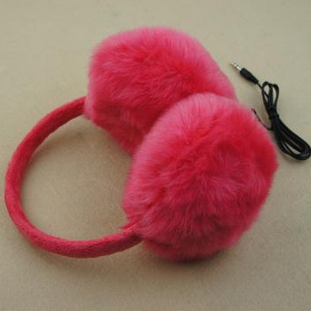 Music Earmuff