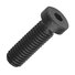 Low Socket Cap Screw