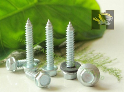 Self-tapping Screw