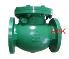 Check Valves