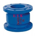 Check Valves