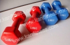Vinyl dumbbell