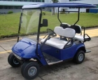 Electric Golf Carts