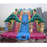 Inflatable Slide