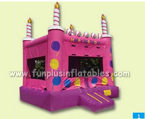 Inflatable Castles